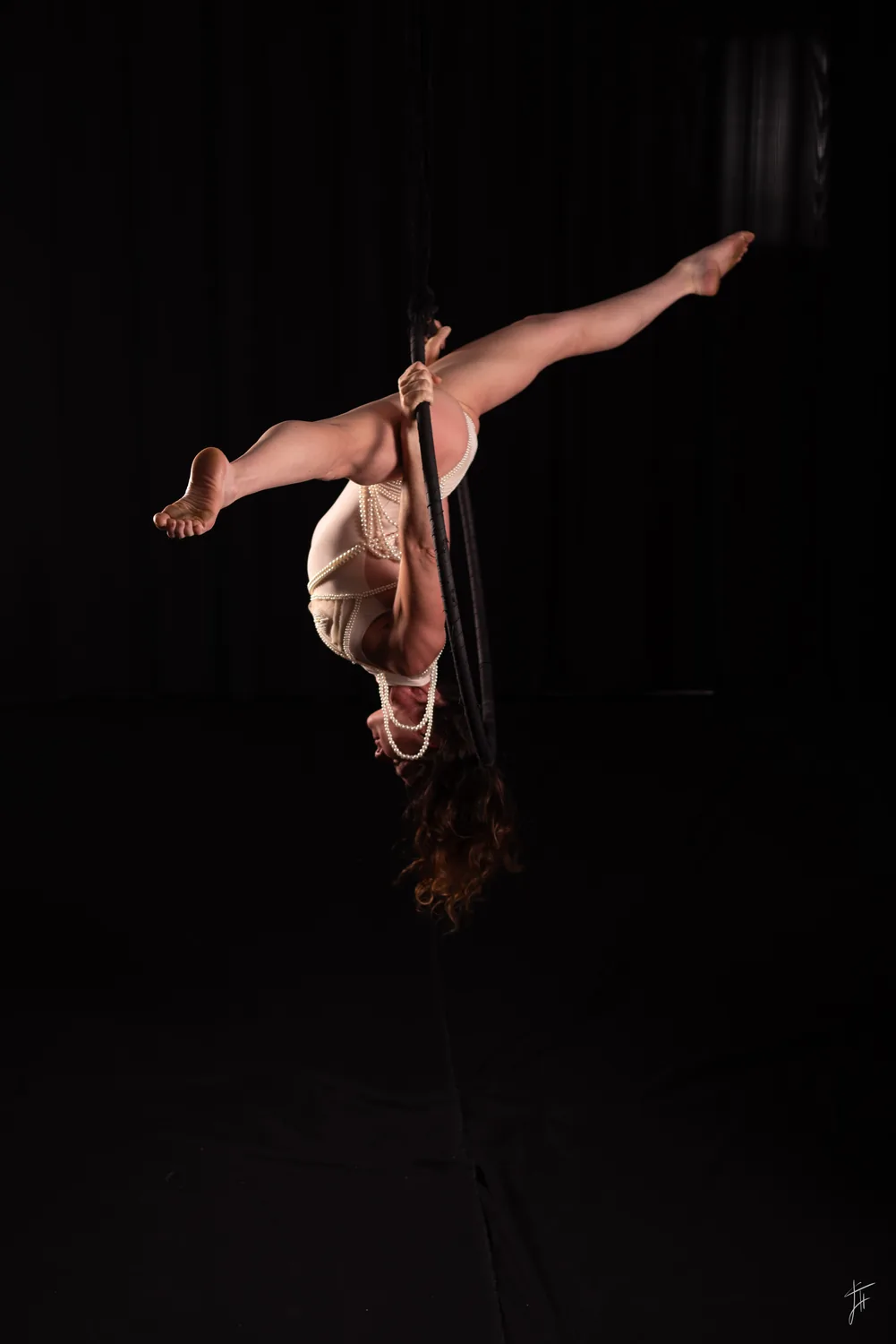 dijon mlda danse