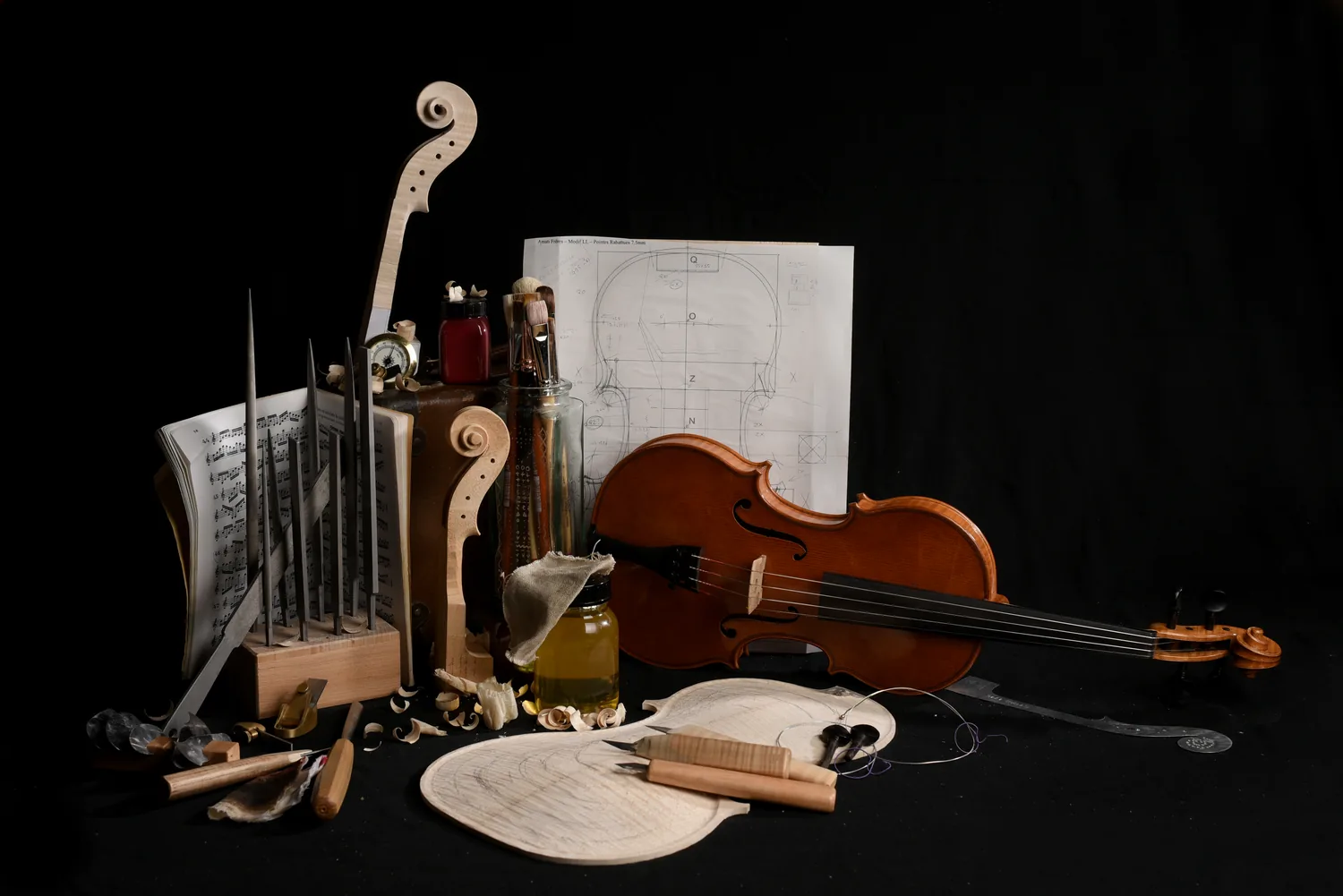luthier