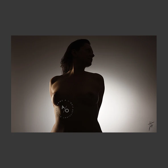 L'Arme à l'Oeil Studio