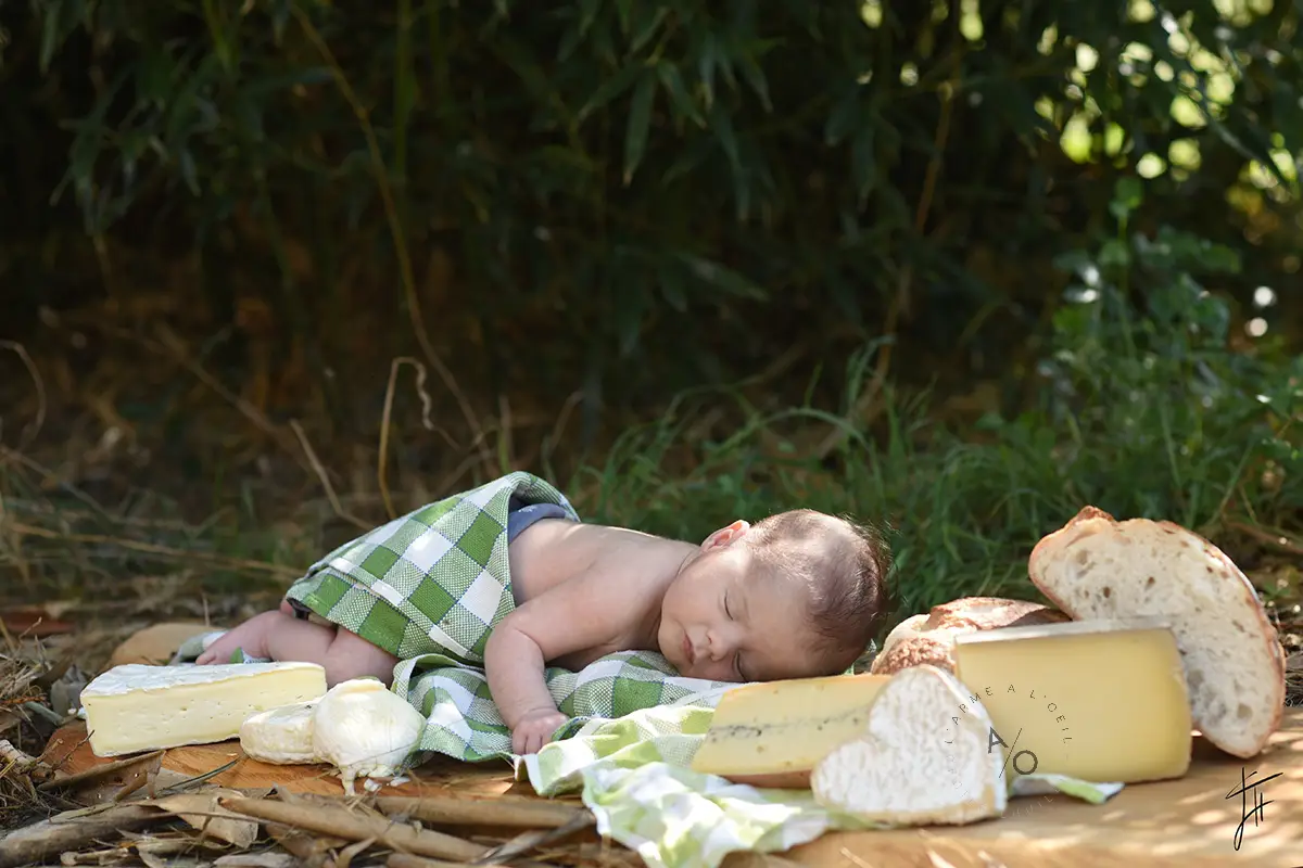 bébé fromagewp