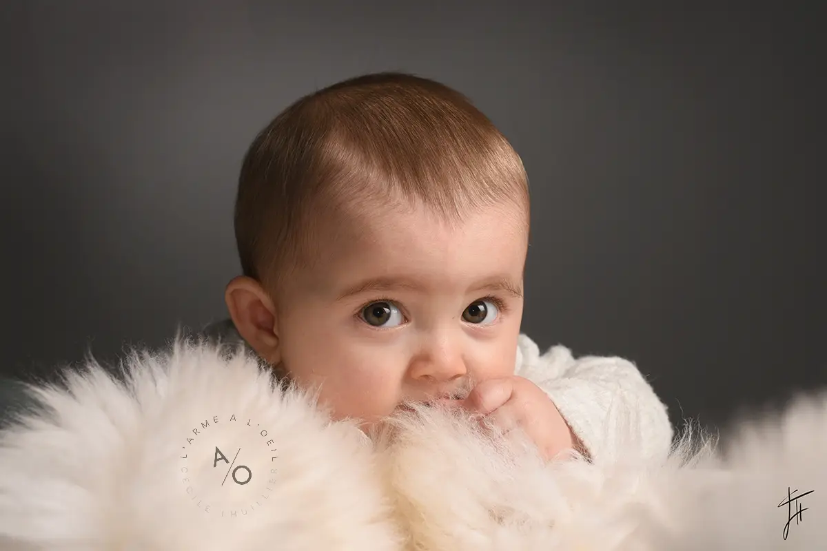 bébé moutonwp