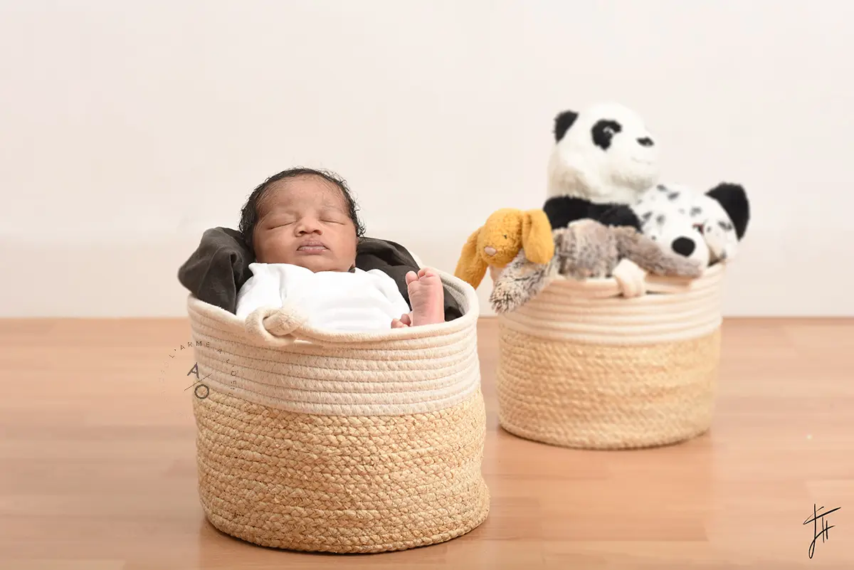bébé panierwp