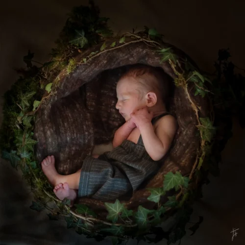 bébé lové dans un nid