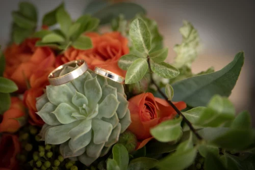 deux alliances posées sur un cactée
