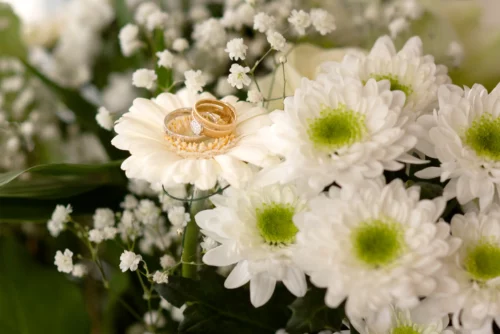 deux alliances sur marguerites